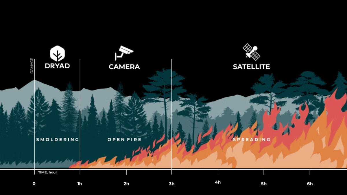 new-tools-make-early-detection-of-forest-fires-possible