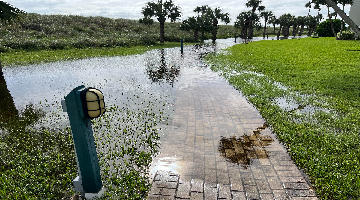 florida-gets-$29-million-boost-to-help-grid-in-extreme-weather