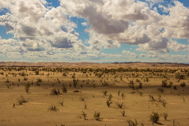 usda-awards-us$231-million-to-new-mexico-utility-for-clean-energy,-16-hour-energy-storage