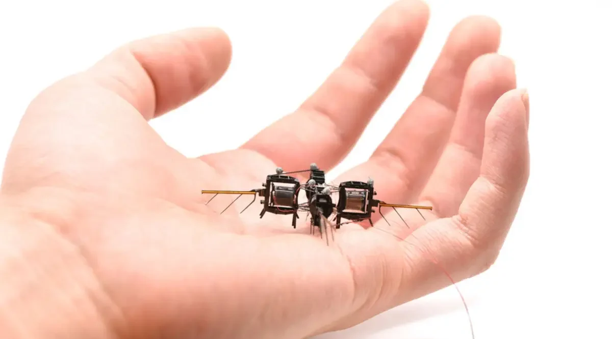 robot-bees-from-mit-may-be-the-pollinators-of-the-future