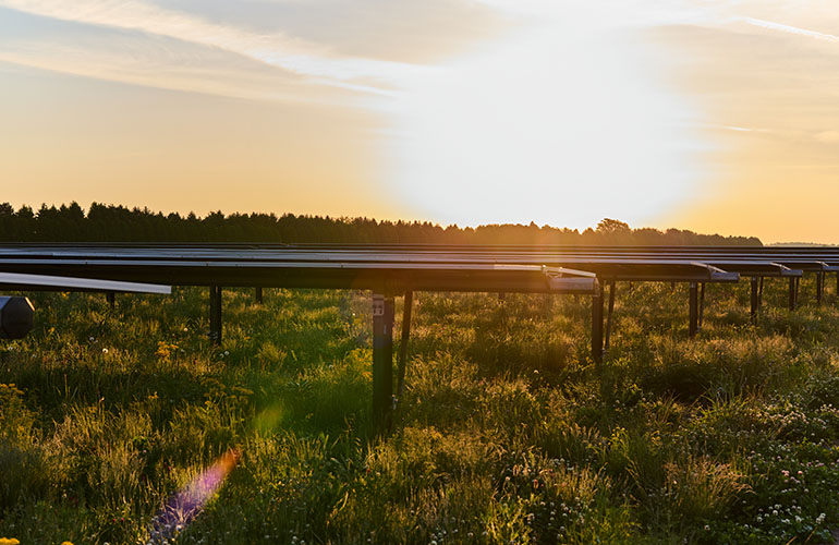 from-wasteland-to-powerhouse:-the-case-for-brownfield-solar-development