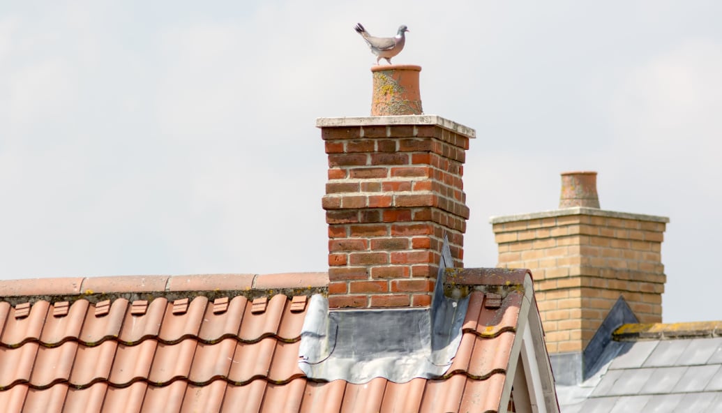 want-to-cut-bills?-seal-up-your-chimney-(if-you’ve-got-one!)