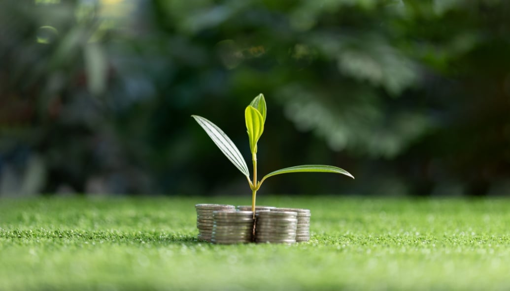 the-25-million-interest-free-renewable-rewards-fund-to-help-your-business-achieve-netzero