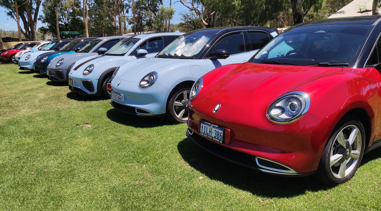 herding-cats-—-ora-meetup-in-western-australia