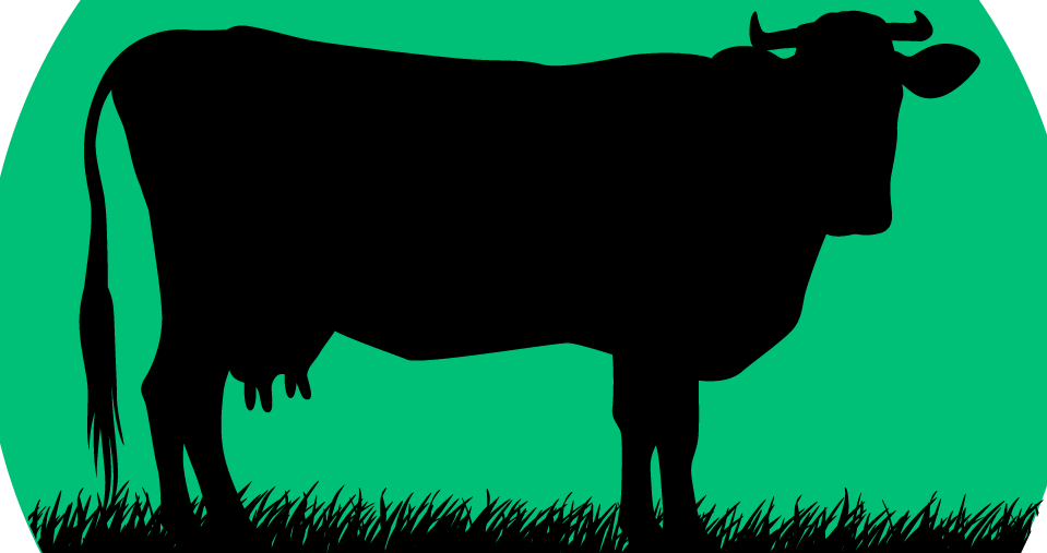 bovine-methane-emissions-solution-spearheaded-by-us-firm
