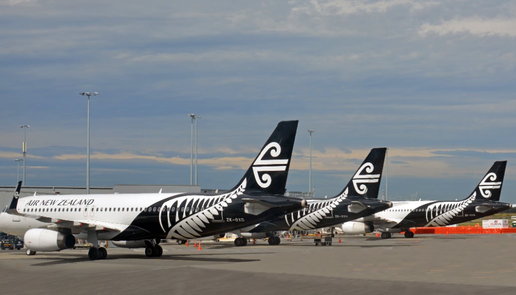 kiwis-could-soon-be-flying-high