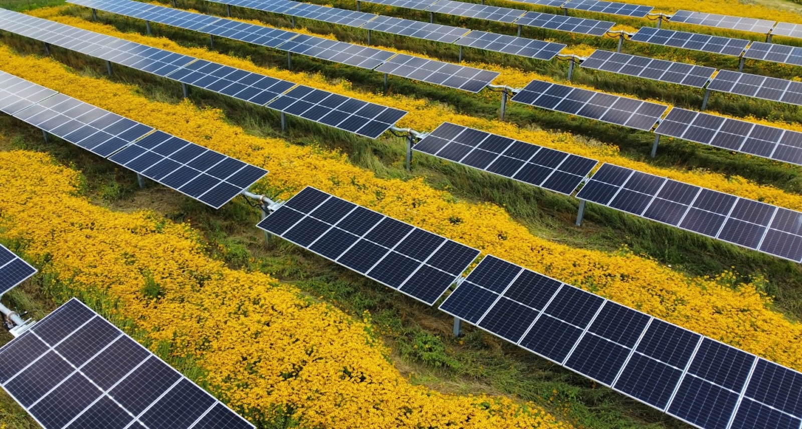 unleashing-american-renewable-energy-dominance