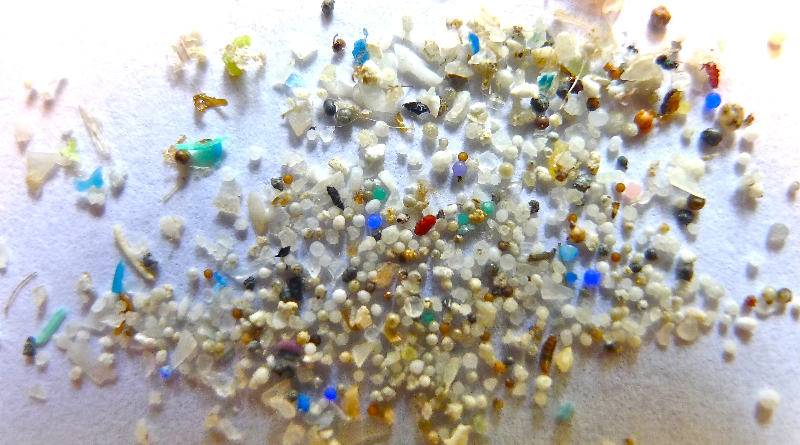 i’ve-got-microplastics-on-my-brain-—-and-so-do-you