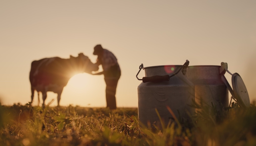 mars-pledges-$27m-to-help-dairy-farmers-slash-emissions