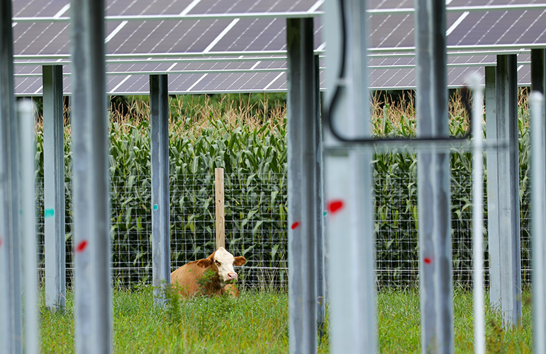 solar-racking-makes-agrivoltaic-projects-possible