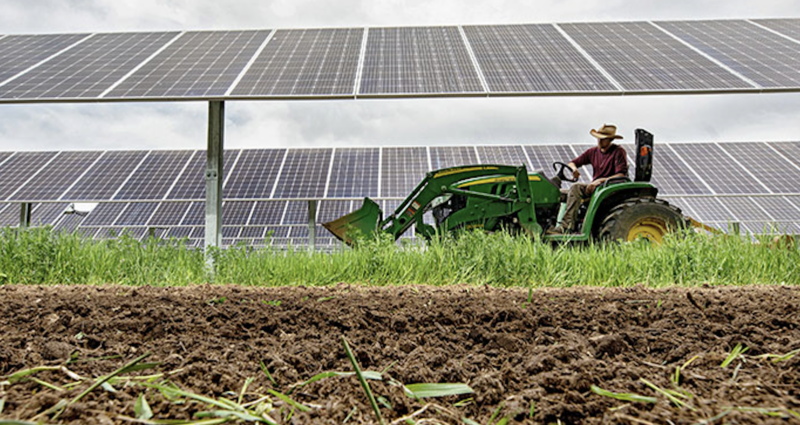 prediction:-solar-energy-beats-natural-gas-by-a-mile-in-2025
