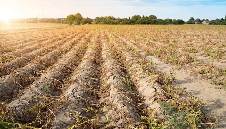 outdated-land-system-puts-farmland-at-risk-from-clean-energy-expansion