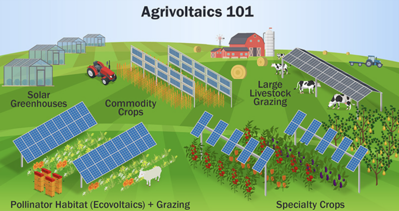 new-agrivoltaic-tool-optimizes-solar-generation-and-crop-production