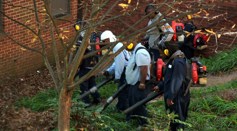 another-us-city-bans-gas-powered-leaf-blowers