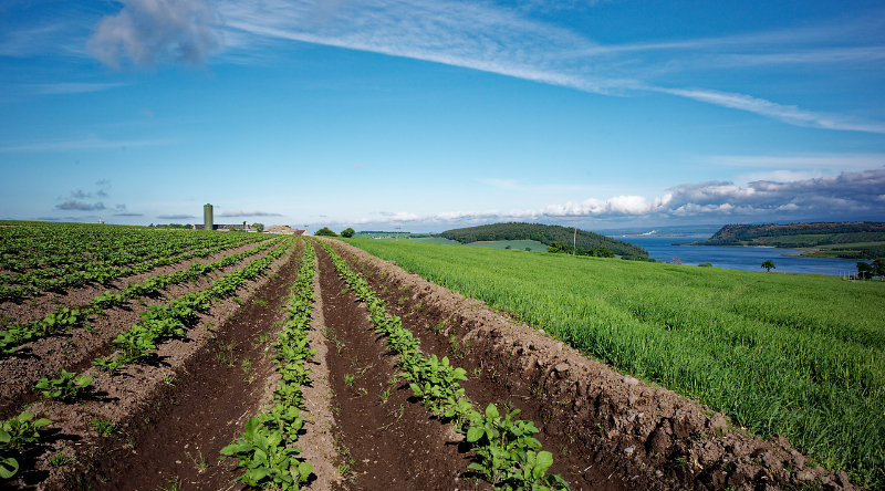 fossil-fuel-companies-ramp-up-influence-in-the-food-system