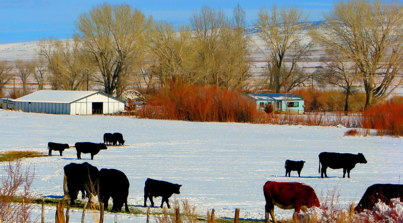 don’t-use-the-phrase-“climate-resilient”-if-you-want-us-federal-funding