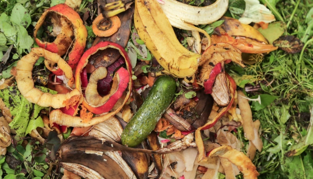 bins-overflowing-with-fresh-fruit-and-veg-waste