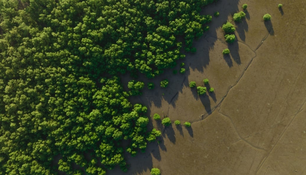 declining-carbon-sequestration-threatens-climate-progress
