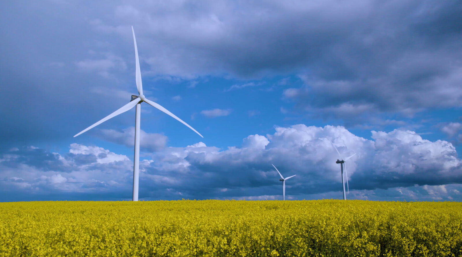 texas-senate-votes-to-shred-renewable-energy-rules