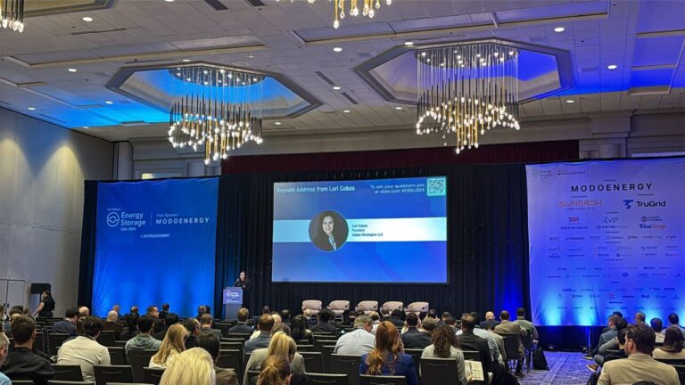‘bess-to-help-ercot-manage-doubling-of-demand-by-2030’:-energy-storage-summit-usa-2025-kicks-off