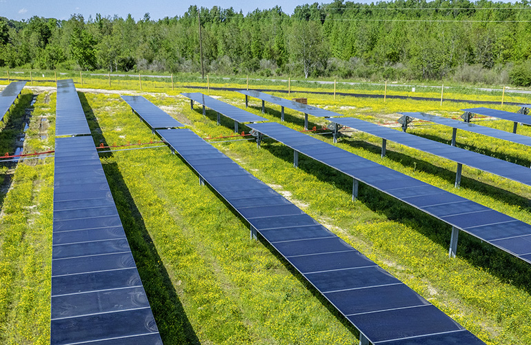 lightsource-bp-funds-community-initiatives-with-180-mw-louisiana-solar-project