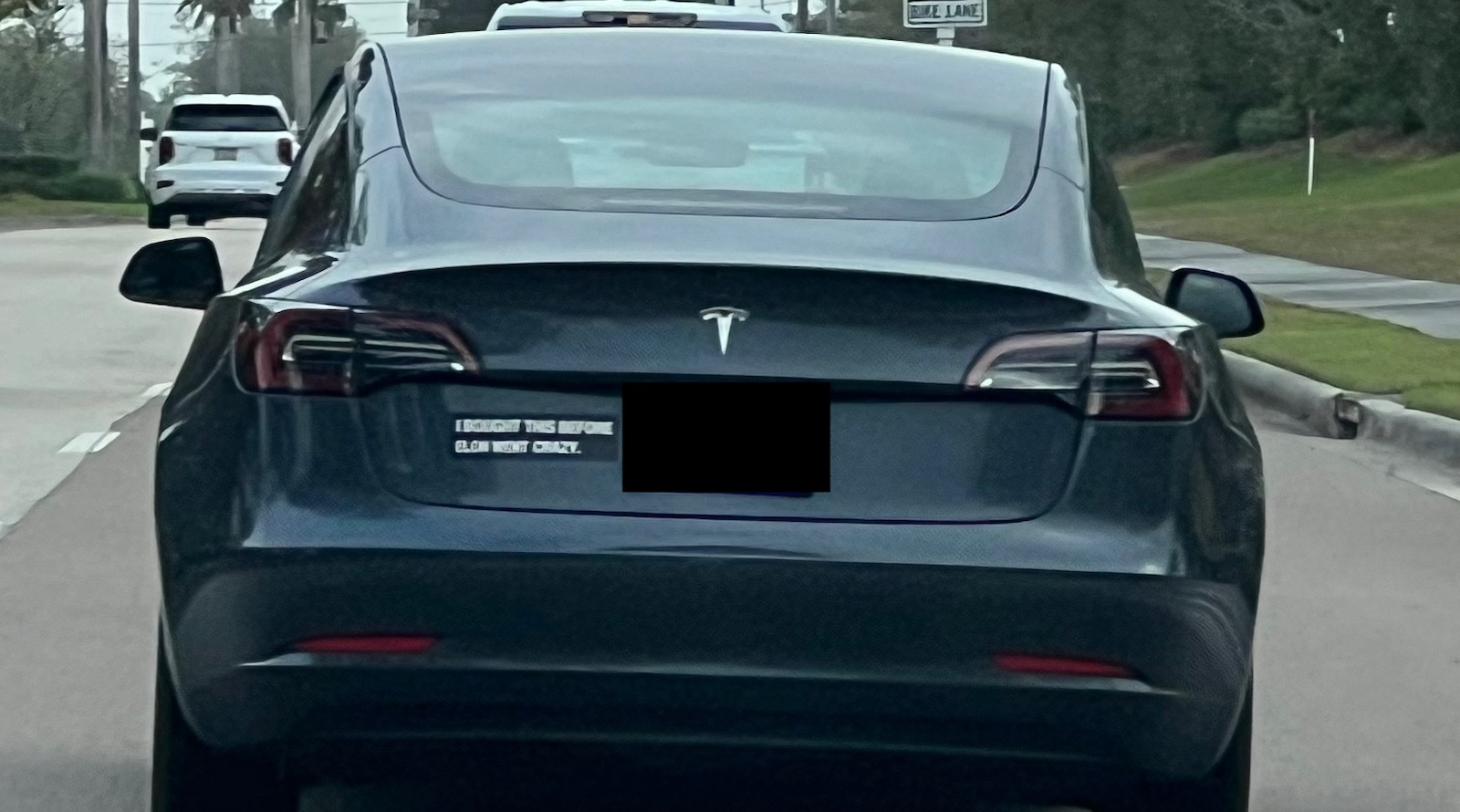 betrayed-by-elon-musk