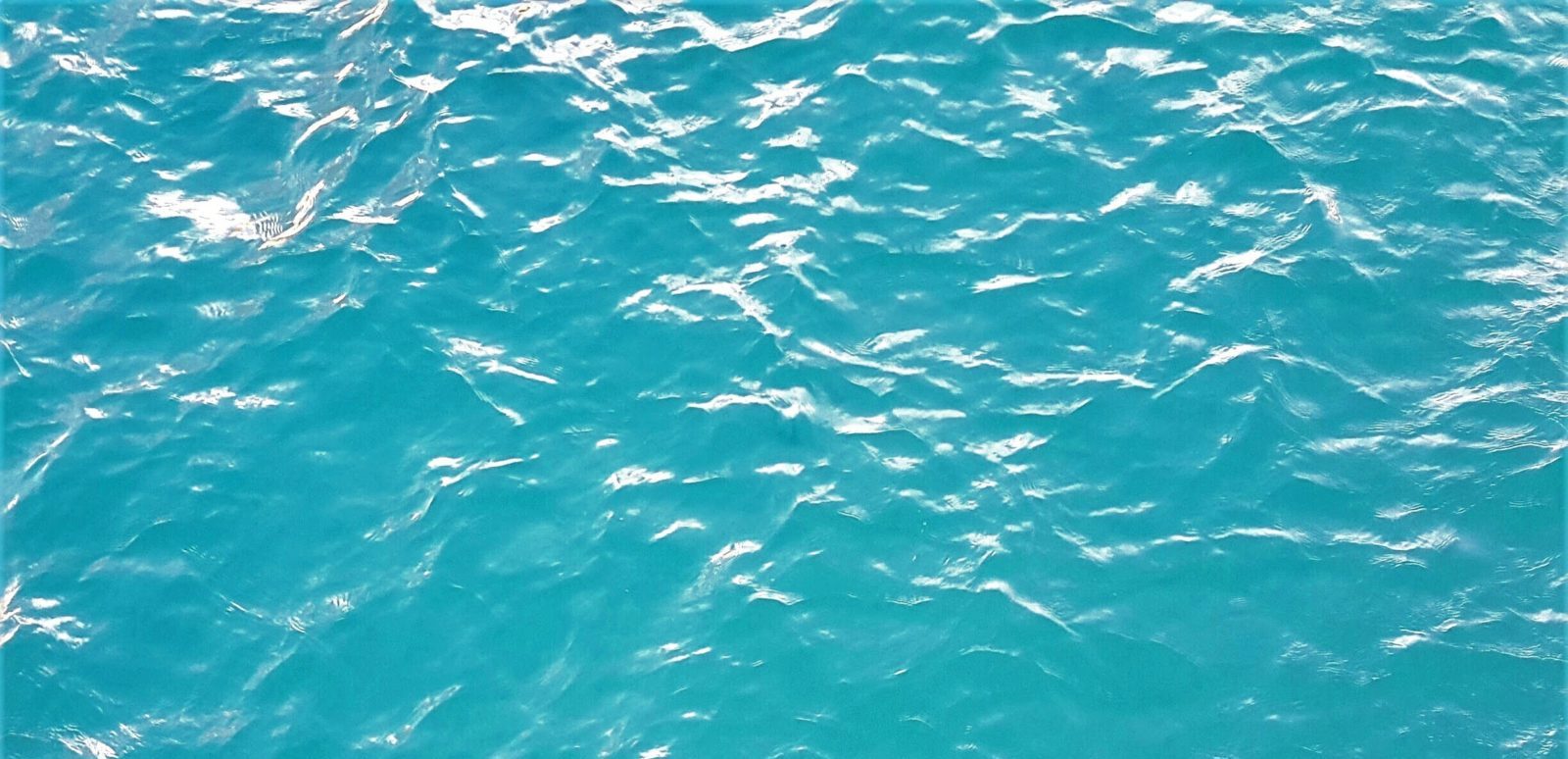 texas-confronts-its-water-crisis