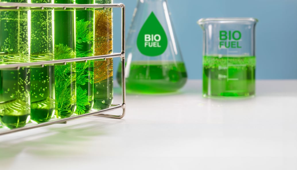 oil-and-gas-companies-say-biofuels-and-hydrogen-are-key
