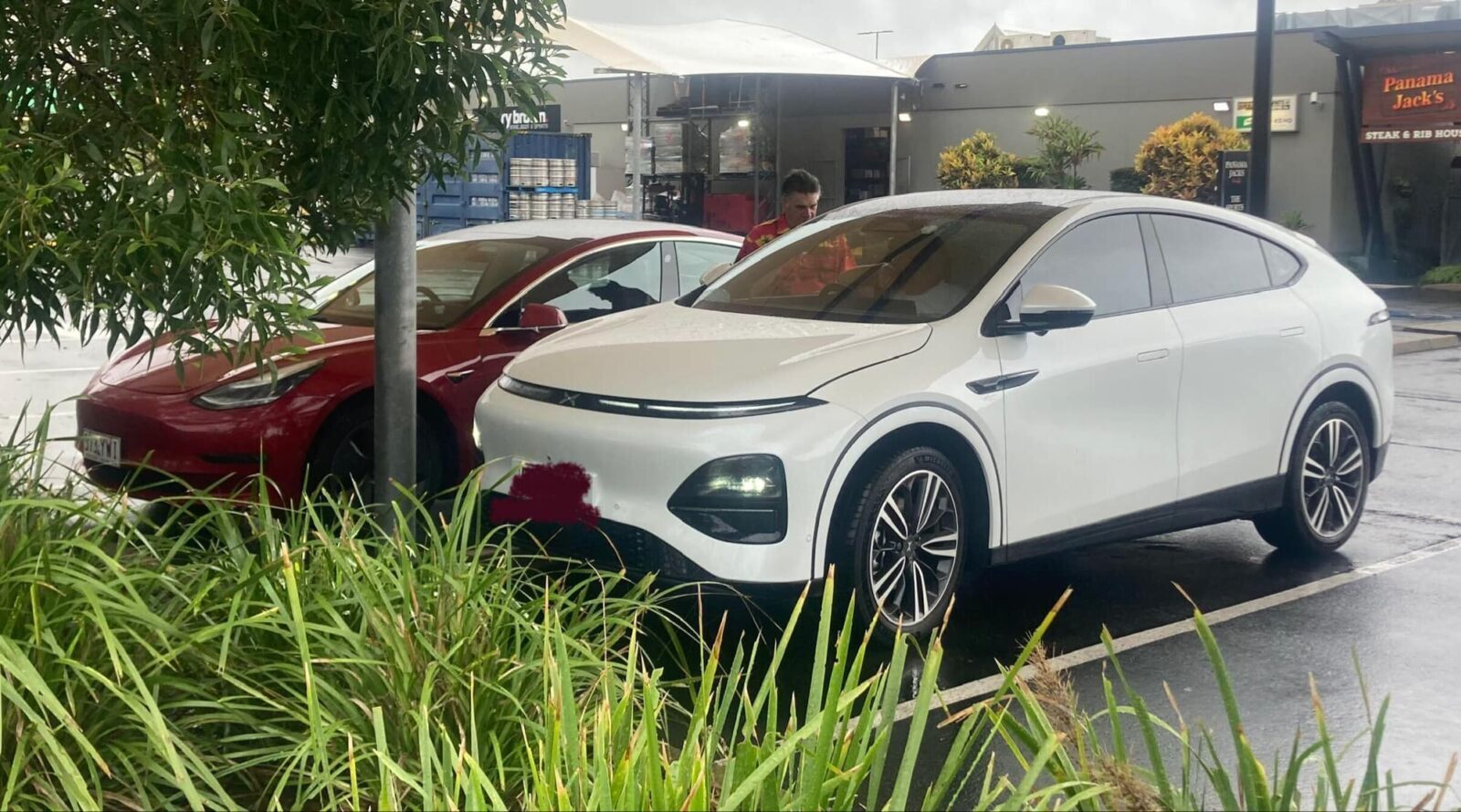 despite-tesla-dip,-australia-over-14%-plugin-penetration