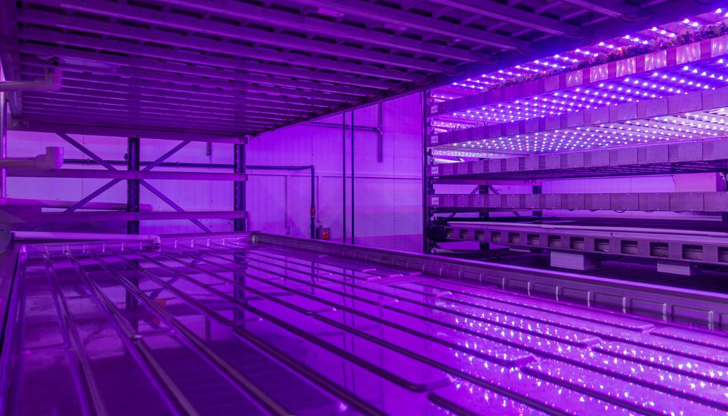 dundee-built-tech-heads-to-dubai-for-world’s-first-vertical-gigafarm