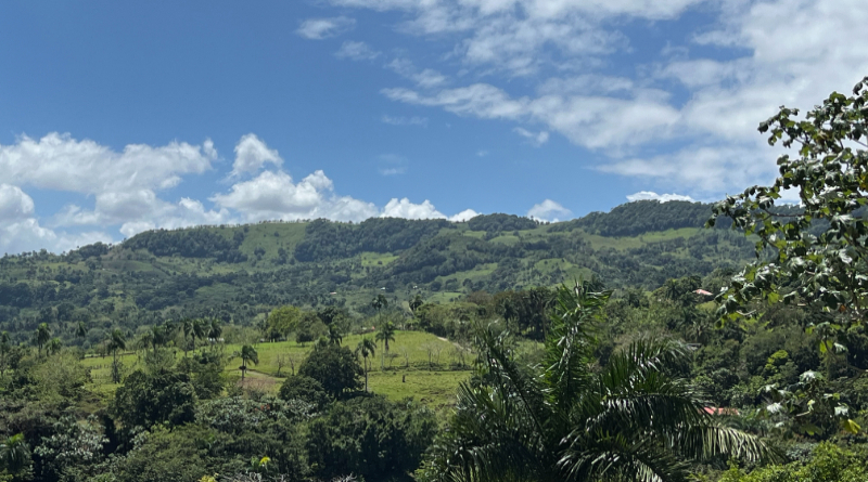 want-an-immersive-vacation-experience?-try-an-ecolodge
