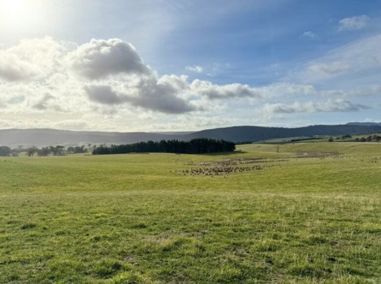 landowner-led-576mwh-solar-plus-storage-site-in-tasmania-submitted-to-australia’s-epbc-act