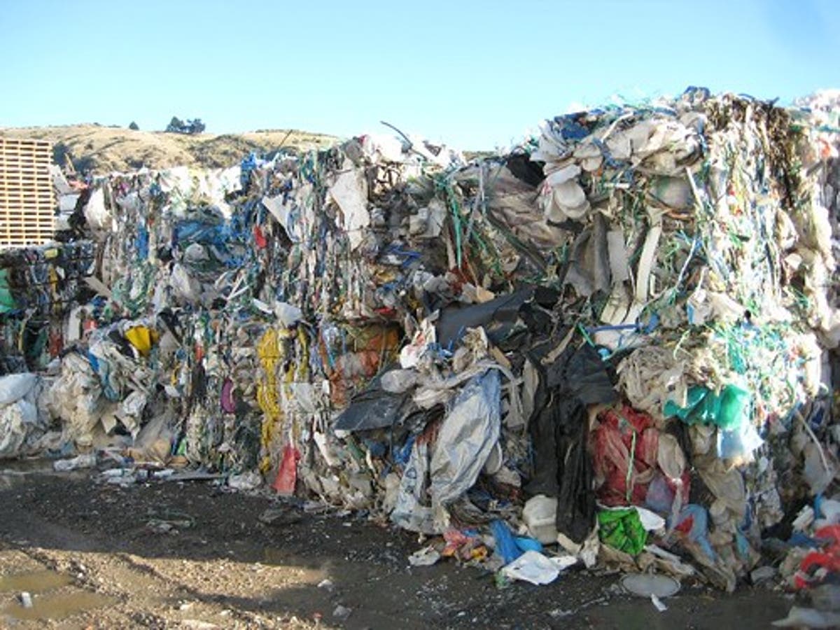 researchers-in-japan-find-an-alternative-to-single-use-plastic
