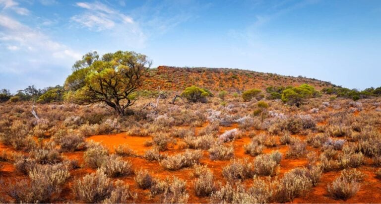 tilt-renewables-submits-two-8-hour-batteries-in-south-australia-to-the-epbc-act