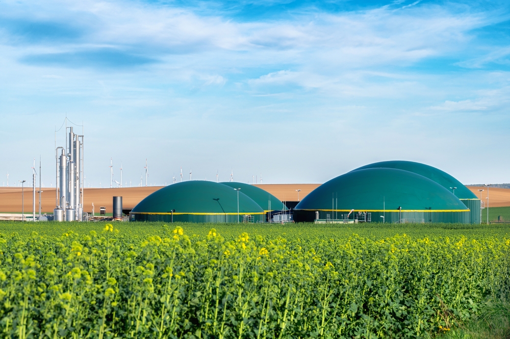 biomass-vital-to-eu-climate-targets,-study-warns