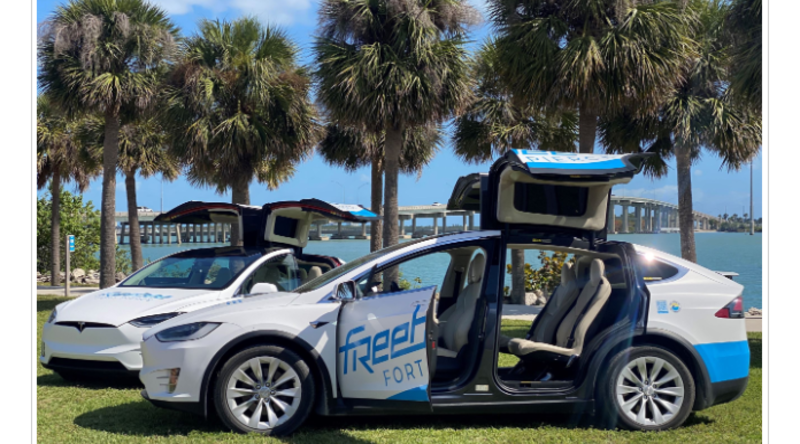 riding-on-the-freebee:-public-transportation-can-be-electrifying