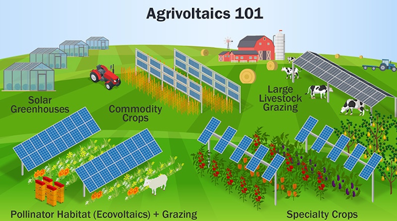 there-is-one-clear-winner-in-the-corn-vs.-solar-battle