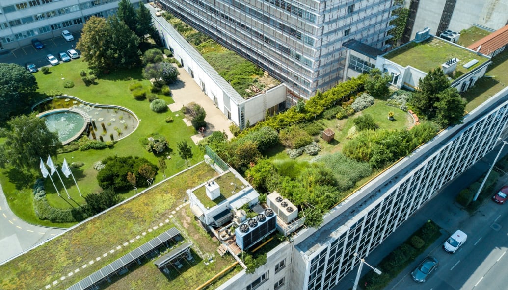 green-spaces-vital-for-towns-and-cities