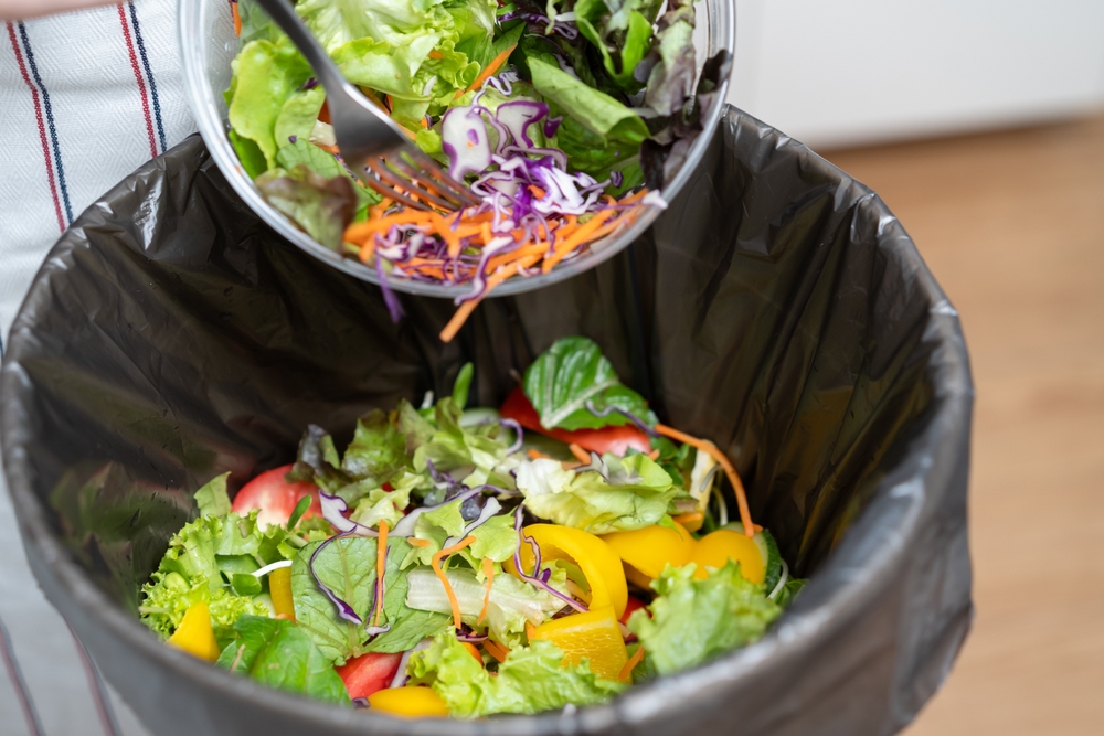 biochar-from-food-waste-could-cut-emissions