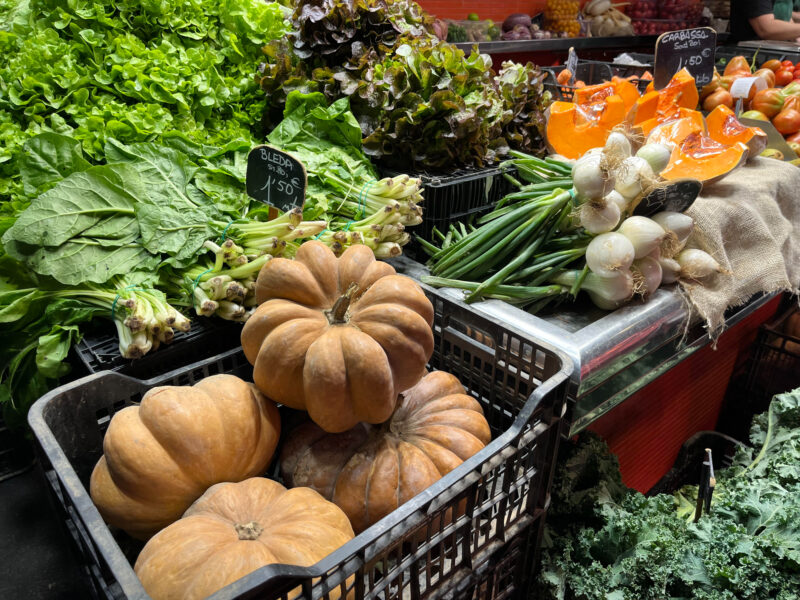 why-can’t-we-grow-healthy-food-for-a-sustainable-world?