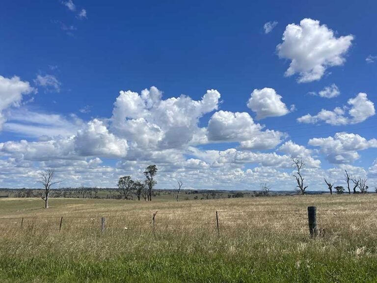 ace-power-8,000mwh-bess-project-receives-epbc-clearance-in-australia