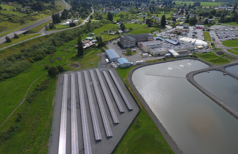 dedicated-employees-contribute-to-rec-solar’s-strong-brand