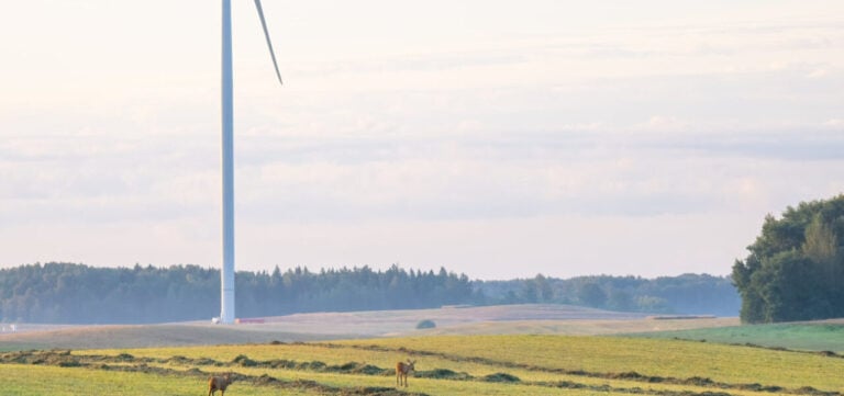 lithuania:-ignitis-group-invests-e130-million-in-large-scale-bess-portfolio
