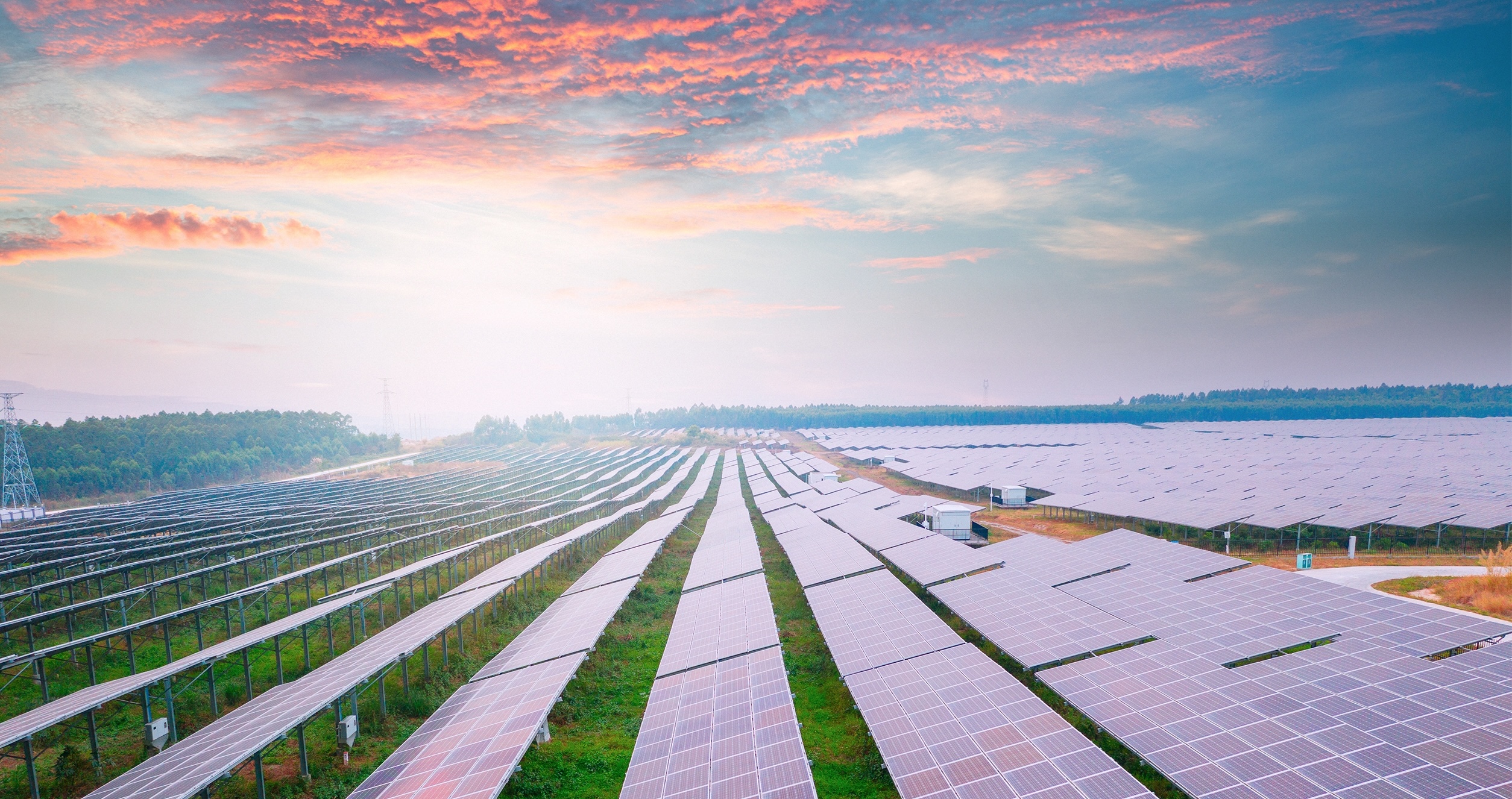 maga-mind-games-will-make-america-last-in-auto-&-solar-industries