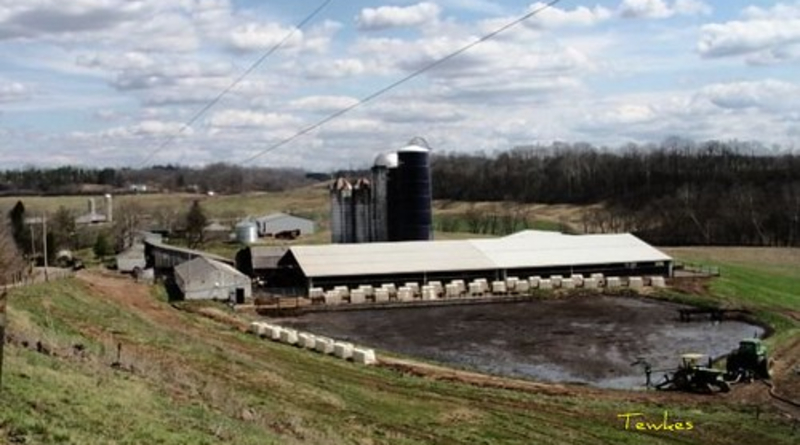 are-there-practical-solutions-to-methane-emissions-from-cattle?