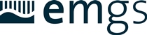 emgs-–-vessel-activity-and-multi-client-sales-update-for-the-second-quarter-2025
