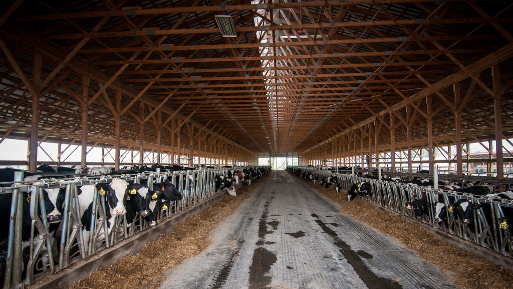beef-is-the-highest-carbon-food?