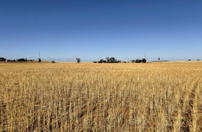 edify-energy-proposes-2,400mwh-solar-plus-storage-site-in-australia