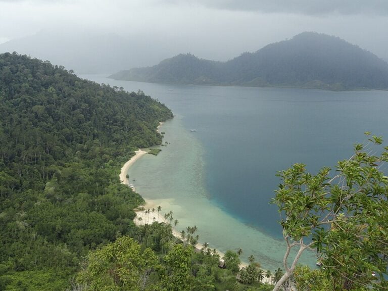 indonesia-government-agency-‘to-coordinate-us$1-billion-off-grid-solar-plus-storage-investment’