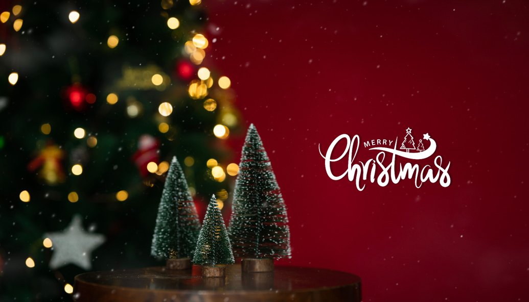 happy-christmas-readers-and-viewers